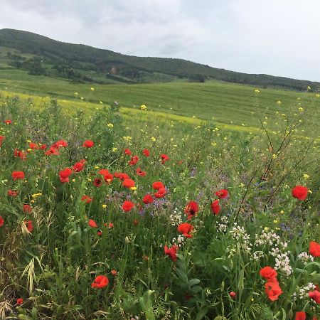 In Piazza Casale Marittimo Daire Dış mekan fotoğraf